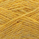 1160 - Scotch Broom