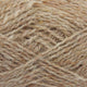 141 - Camel