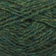 249 - Fern