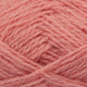 540 - Coral