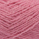 570 - Sorbet
