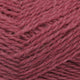 581 - Peony
