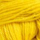 59204 - Dandelion Bloom