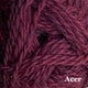 01 - Acer