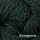 10 - Evergreen