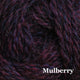 14 - Mulberry