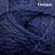 16 - Ocean