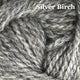 23 - Silver Birch