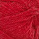 4227 - Equestrian Red