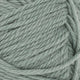8051 - Eucalyptus