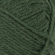 8082 - Forest Green
