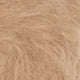 3031 - Camel