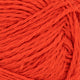 3819 - Spicy Orange