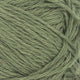 9062 - Olive Green