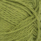 9564 - Matcha