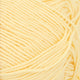 2102 - Spring Yellow