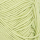 9523 - Lime Punch