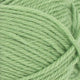 8733 - Spring Green