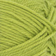 9825 - Sunny Lime